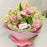 春舞枝 鲜花 百年好合 9枝索尔邦(多头)粉红百合