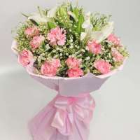 春舞枝 鲜花 母爱深深 19枝粉康乃馨