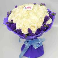 春舞枝 鲜花 纯纯爱恋 33枝雪山白玫瑰