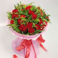 春舞枝 鲜花 温馨的爱 33枝红康乃馨