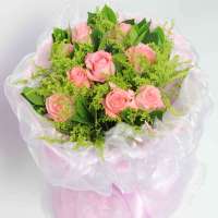 春舞枝 鲜花粉红初恋 9枝粉玫瑰