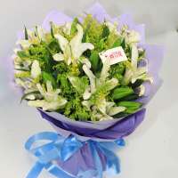 春舞枝 鲜花长相伴 9枝西伯利亚(多头)白百合