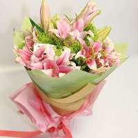 春舞枝 鲜花长相守 9枝索尔邦(多头)粉红百合