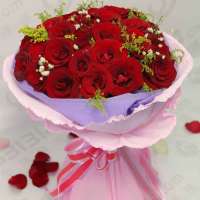 春舞枝 鲜花我的宝贝(粉包装) 33枝卡罗拉红玫瑰