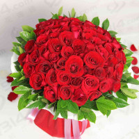 春舞枝 鲜花真的很爱你 66枝卡罗拉红玫瑰