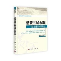 沿黄三城市群发展机制研究