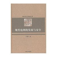 现代电网的发展与安全