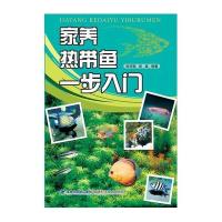 家养热带鱼一步入门