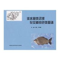 淡水鱼类远缘杂交种染色体图谱