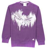 adidas阿迪达斯12年新款男子套衫Z01076紫色M