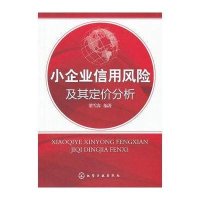 小企业信用风险及其定价分析