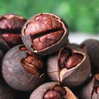 采彩果手剥水煮山核桃158g