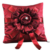 绿之源  梦幻巴黎 酒红