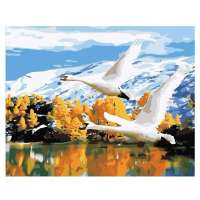 舞动色彩DIY数字油画40*50CM 比翼双飞