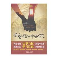 我在轮回中等你