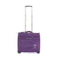 菲都狄都 单向轮拉杆箱 16寸商务旅 行登机箱 电脑箱包 FD-9206