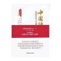 中国抉择:宏观经济与金融安全战略