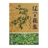 辽宁花生