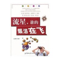 流星.谁的眼泪在飞