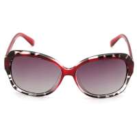 威古氏 偏光太阳眼镜9008C2