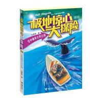 极地惊心大探险系列：空中搜寻大洋之魂