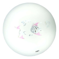 雷士照明 吸顶灯-22W(白光)-NPX1041-22(双子座)