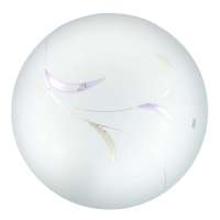 雷士照明 吸顶灯-22W(白光)-NPX1036-22(长柳)