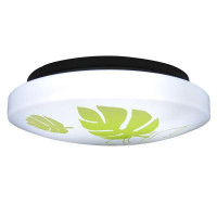 松下 防水吸顶灯-22W(日光)-乳白+绿叶印花-Φ292-HWC750E