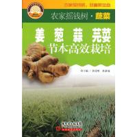 姜 葱 蒜 芫荽 节本高效栽培