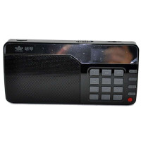 朗琴(ROYQUEEN)X500 便携式音箱 炫酷黑