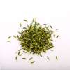 浙新莲子芯茶200g