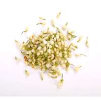 浙新茉莉花茶200g