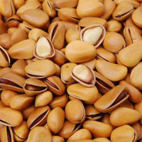 东洲开口松子100g