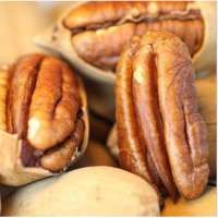 味道碧根果(美国山核桃)