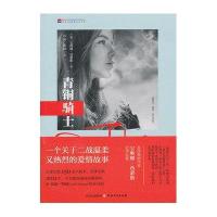 青铜骑士