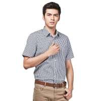 HODO红豆男装商务休闲纯棉格子短袖衬衫HDECS2042(B01蓝条白格39)