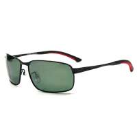 PARIM派丽蒙男士偏光太阳镜1203B1