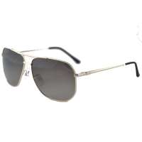 PARIM派丽蒙男士偏光太阳镜9111B1
