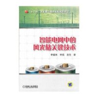 智能电网中的风光储关键技术