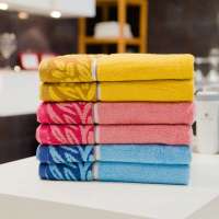 洁丽雅(grace)洁丽雅纯棉强吸水特柔浴巾8609