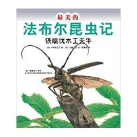 最美的法布尔昆虫记：铁嘴伐木工天牛