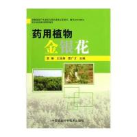 药用植物金银花