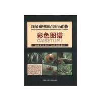 蔬菜病虫害诊断与防治彩色图谱