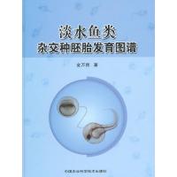 淡水鱼类杂交种胚胎发育图谱