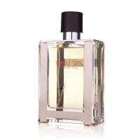 Hermes爱马仕大地男士淡香水50ml