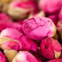 楼兰公主沙漠红玫瑰茶60g