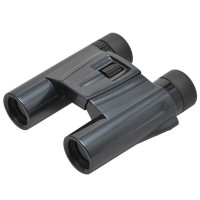 肯高(Kenko) ultraVIEW 10×25 DH 便携式小型屋脊棱镜双筒望远镜(黑色)