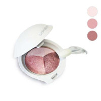 TheFaceShop鲜花丝柔三色眼影01/