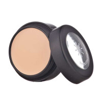 Missha斯黛尔无瑕修颜膏(亮肤色)3g