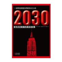 2030发生在美国的真实故事